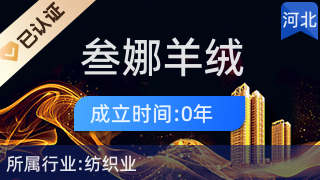 清河縣叁娜羊絨制衣店 融合羊絨匠心與日用百貨的便民新體驗